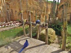 149 BIO PARC DE DOUE LA FONTAINE 6- 2016_000019